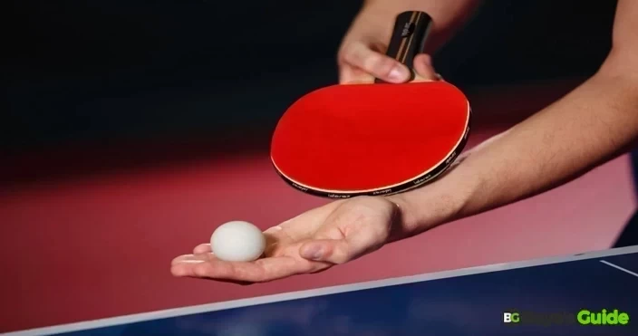 Ping Pong Paddle 2