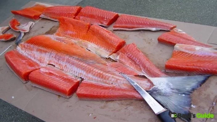 Salmon Fish 3