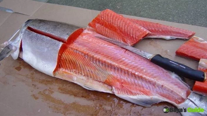 Salmon Fish 4