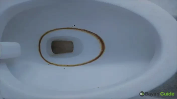 Toilet Ring 3