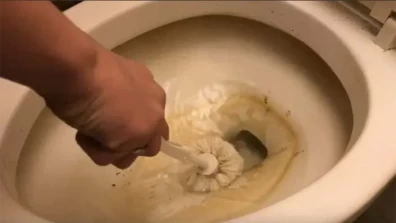 How To Get Rid Of Toilet Ring
