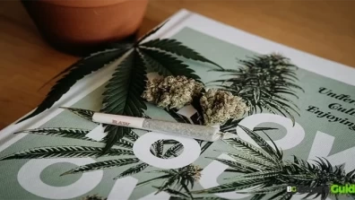 How To Get Weed Out Of Your System